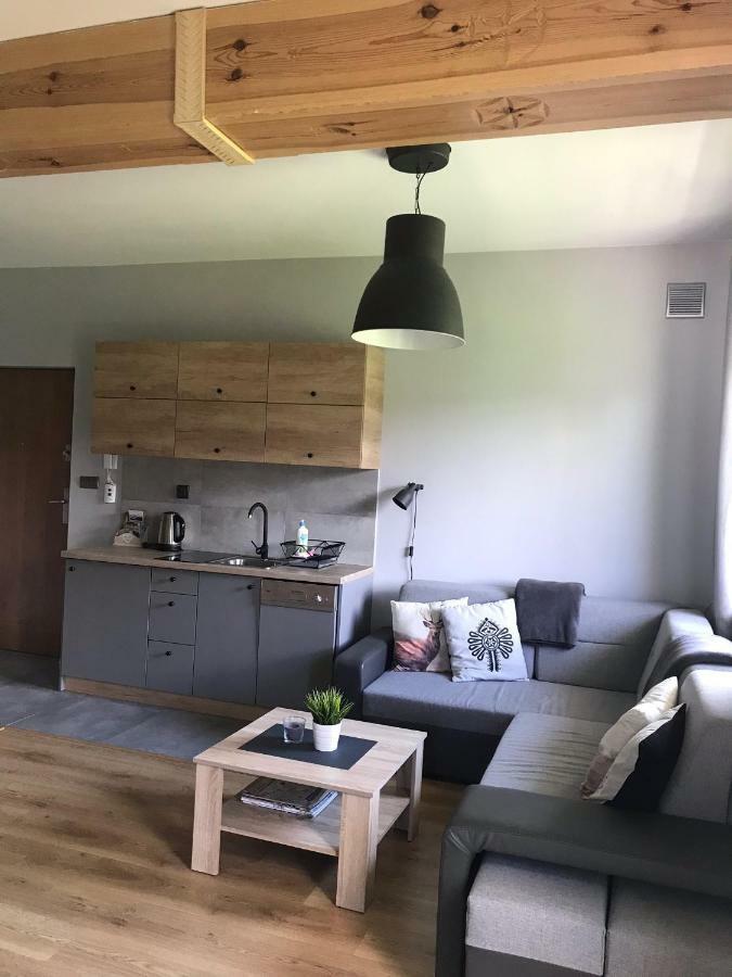 Apartamentypodzakopanem.Pl Мурзасичле Екстериор снимка